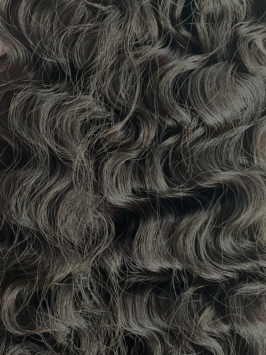 HOUSE N°7 — Raw Burmese Curly