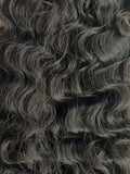 HOUSE N°7 — Raw Burmese Curly
