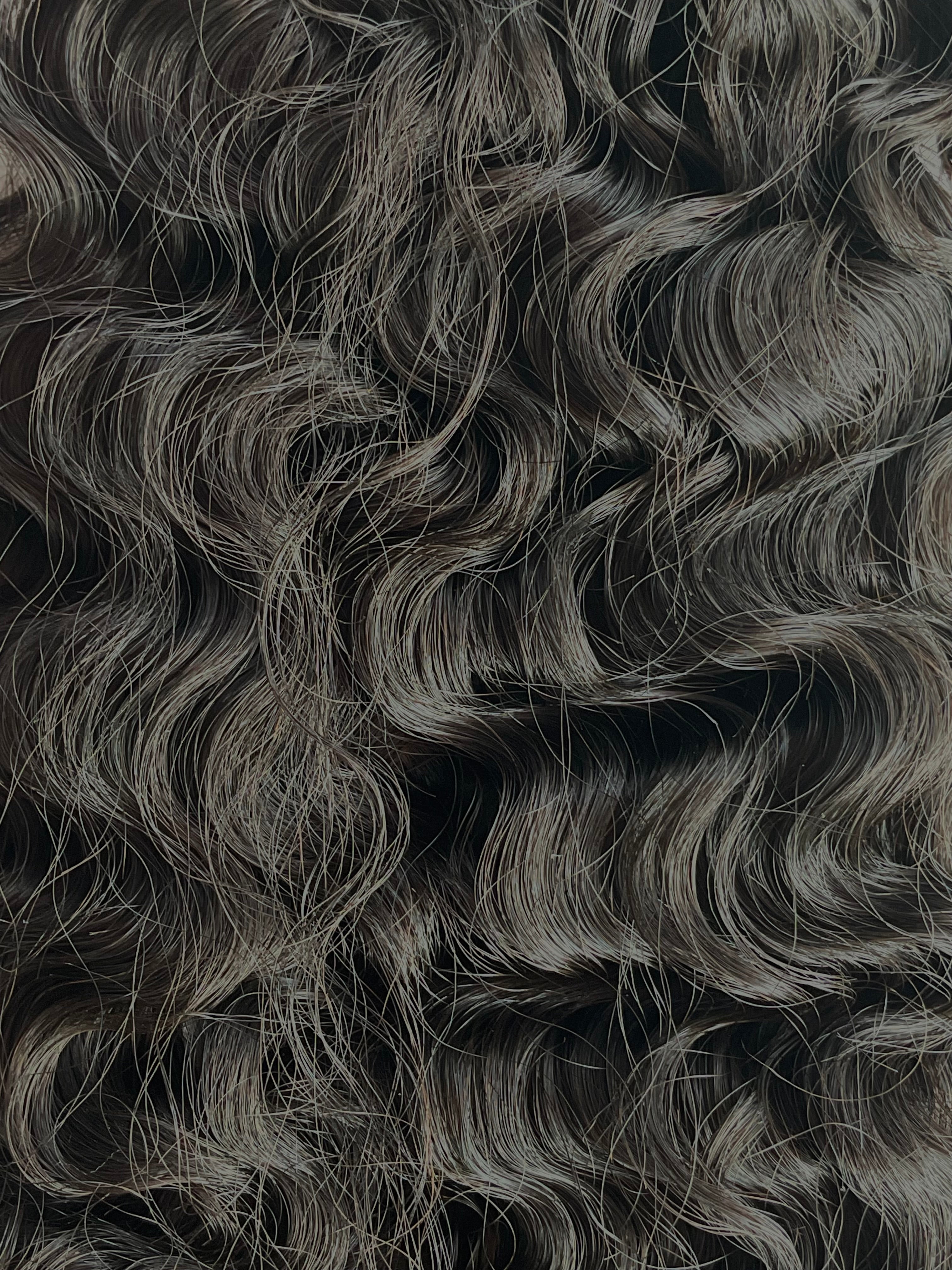 HOUSE N°7 — Raw Burmese Curly