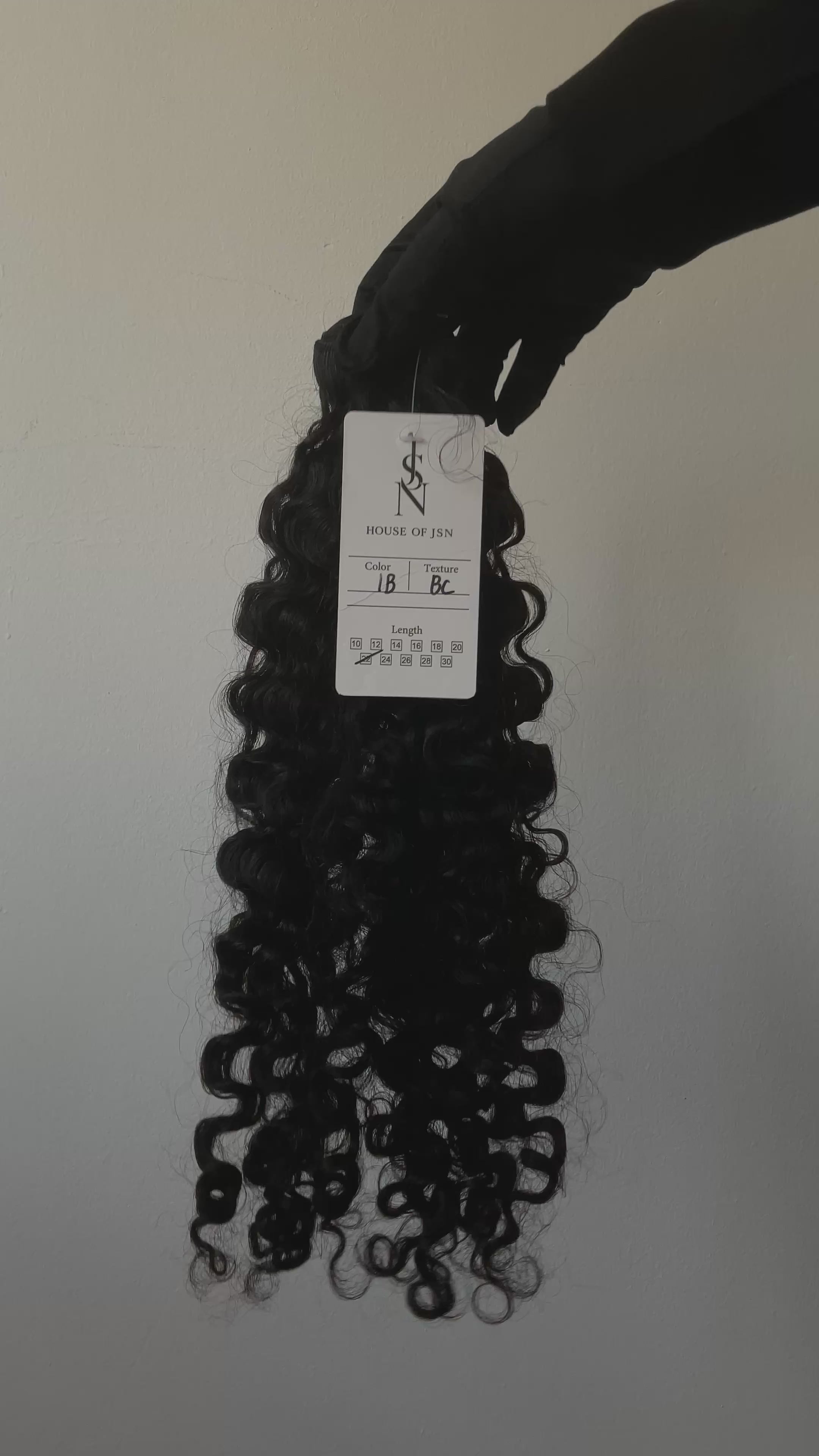 HOUSE N°7 — Raw Burmese Curly